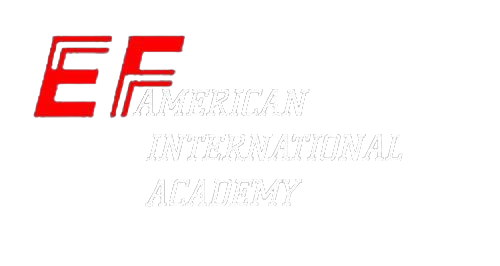 WhatsApp_Image_2024-02-03_at_3.48.44_PM-removebg-preview